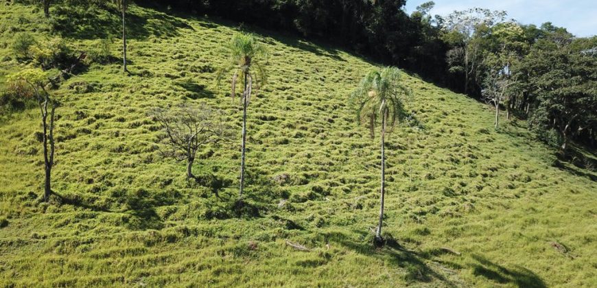 LINDA SÍTIO NO BAIRRO DOS FREIRES MUNICÍPIO DE PIRANGUÇU/MG