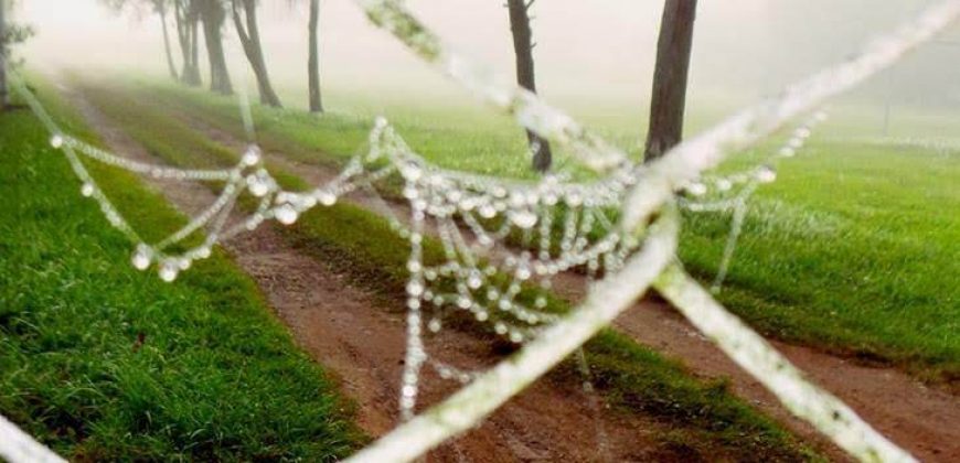 IMPERDÍVEL!!! BELÍSSIMO SÍTIO DE 10.000M², EM PIRANGUÇU – MG