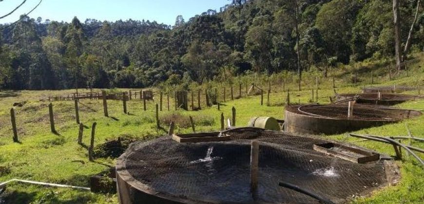 BELÍSSIMO SÍTIO DE 50 HECTARES EM DELFIM MOREIRA- MG.