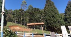 BELÍSSIMO SÍTIO DE 50 HECTARES EM DELFIM MOREIRA- MG.