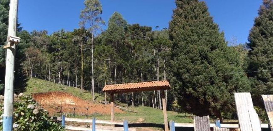 BELÍSSIMO SÍTIO DE 50 HECTARES EM DELFIM MOREIRA- MG.