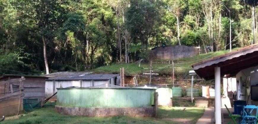 BELÍSSIMO SÍTIO DE 50 HECTARES EM DELFIM MOREIRA- MG.