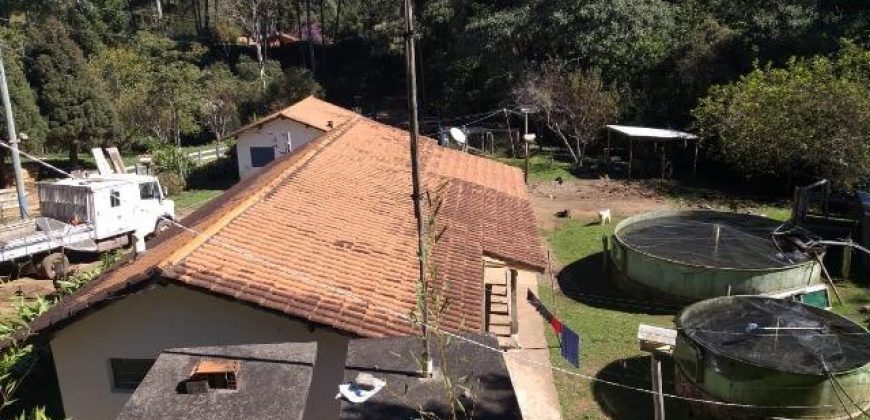 BELÍSSIMO SÍTIO DE 50 HECTARES EM DELFIM MOREIRA- MG.