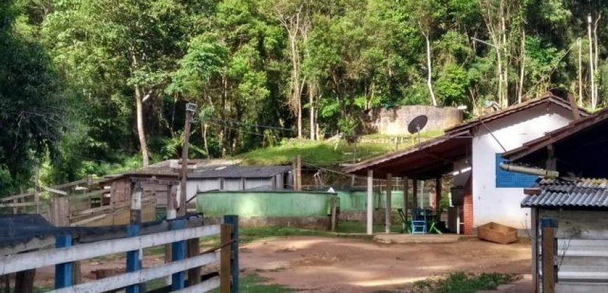 BELÍSSIMO SÍTIO DE 50 HECTARES EM DELFIM MOREIRA- MG.