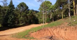 BELÍSSIMO SÍTIO DE 50 HECTARES EM DELFIM MOREIRA- MG.