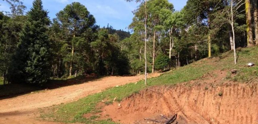 BELÍSSIMO SÍTIO DE 50 HECTARES EM DELFIM MOREIRA- MG.