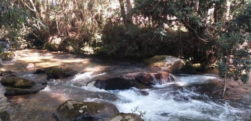 BELÍSSIMO SÍTIO DE 50 HECTARES EM DELFIM MOREIRA- MG.