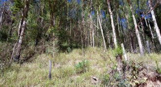 LINDAS CHÁCARAS DE 5.000 M², EM DELFIM MOREIRA- MG