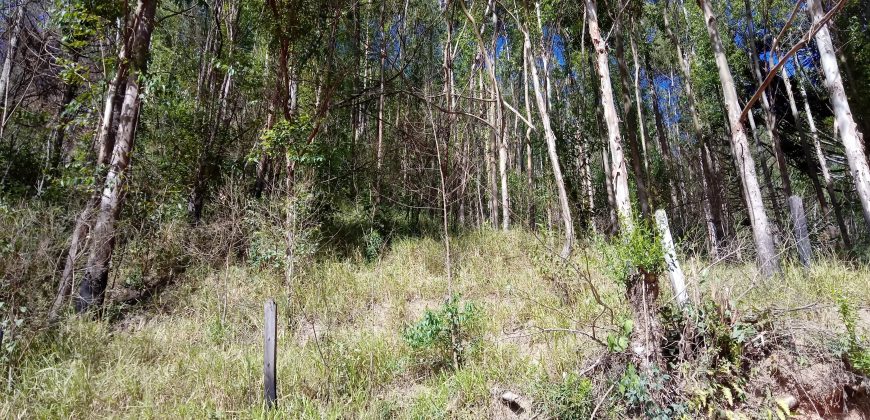 LINDAS CHÁCARAS DE 5.000 M², EM DELFIM MOREIRA- MG