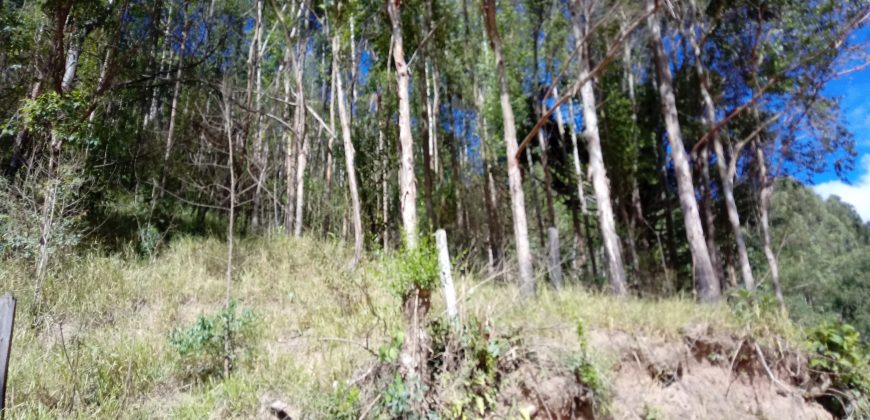 LINDAS CHÁCARAS DE 5.000 M², EM DELFIM MOREIRA- MG