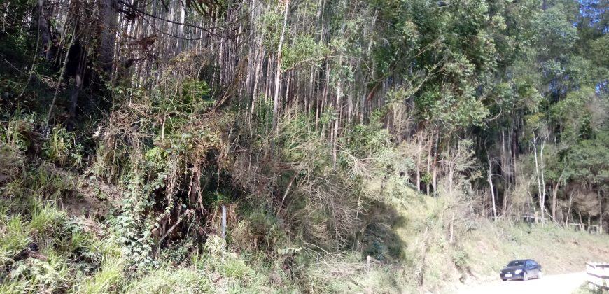 LINDAS CHÁCARAS DE 5.000 M², EM DELFIM MOREIRA- MG