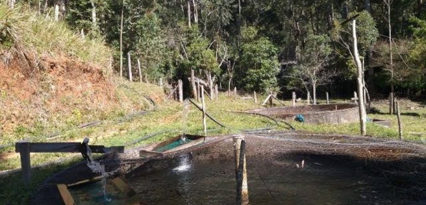 BELÍSSIMO SÍTIO DE 50 HECTARES EM DELFIM MOREIRA- MG.