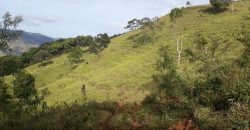 MAGNÍFICA FAZENDA COM 31 ALQUEIRES EM MARIA DA FÉ – MG