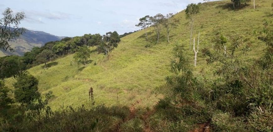 MAGNÍFICA FAZENDA COM 31 ALQUEIRES EM MARIA DA FÉ – MG