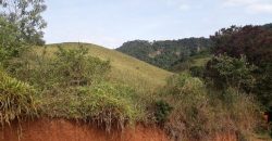 MAGNÍFICA FAZENDA COM 31 ALQUEIRES EM MARIA DA FÉ – MG