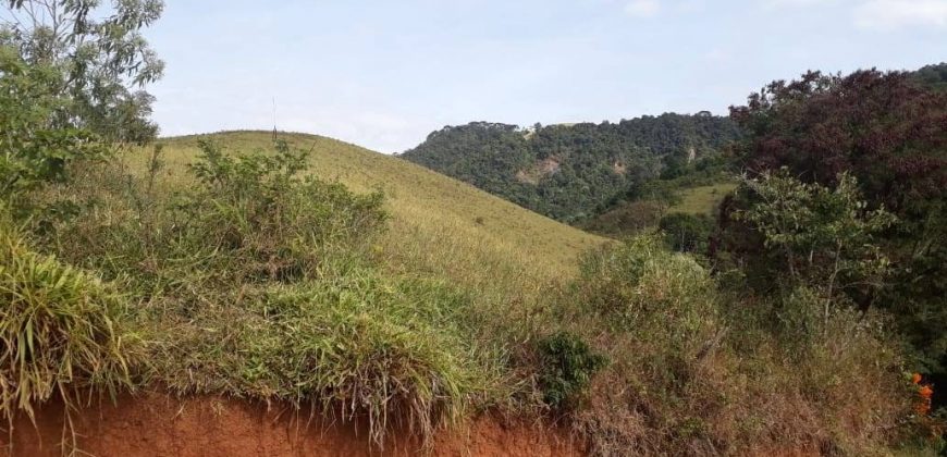 MAGNÍFICA FAZENDA COM 31 ALQUEIRES EM MARIA DA FÉ – MG