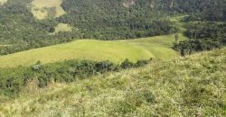 MAGNÍFICA FAZENDA COM 31 ALQUEIRES EM MARIA DA FÉ – MG