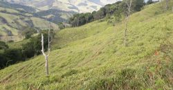 MAGNÍFICA FAZENDA COM 31 ALQUEIRES EM MARIA DA FÉ – MG