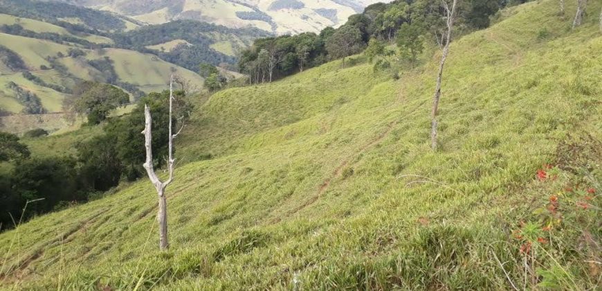 MAGNÍFICA FAZENDA COM 31 ALQUEIRES EM MARIA DA FÉ – MG