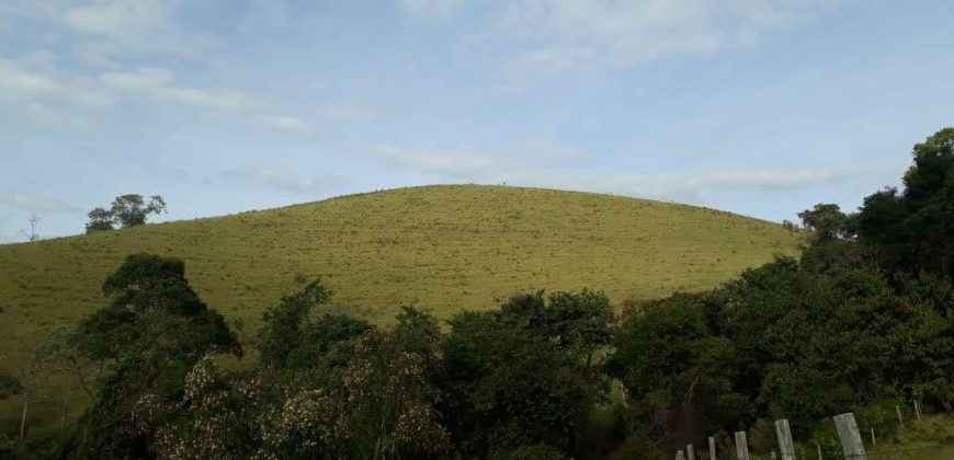 MAGNÍFICA FAZENDA COM 31 ALQUEIRES EM MARIA DA FÉ – MG