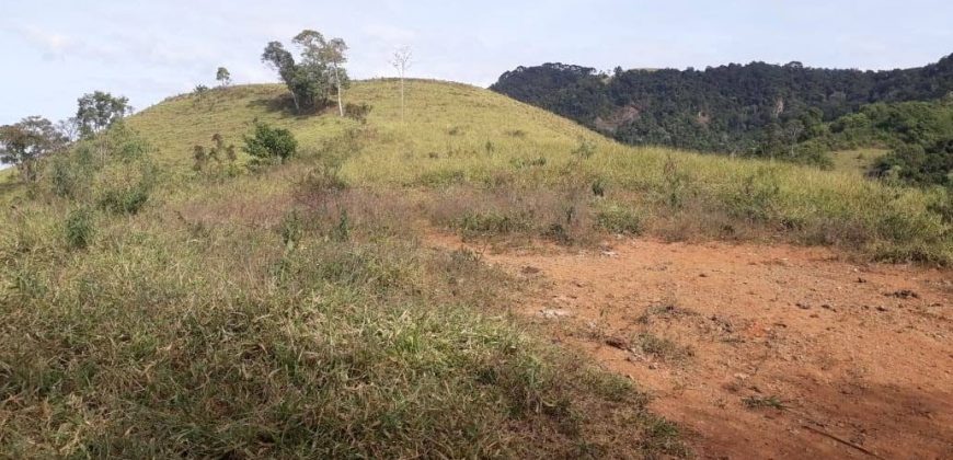 MAGNÍFICA FAZENDA COM 31 ALQUEIRES EM MARIA DA FÉ – MG