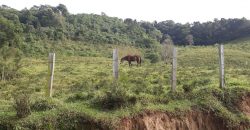 MAGNÍFICA FAZENDA COM 31 ALQUEIRES EM MARIA DA FÉ – MG