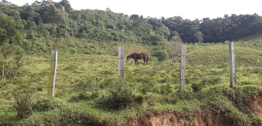 MAGNÍFICA FAZENDA COM 31 ALQUEIRES EM MARIA DA FÉ – MG