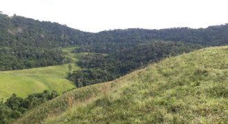 MAGNÍFICA FAZENDA COM 31 ALQUEIRES EM MARIA DA FÉ – MG