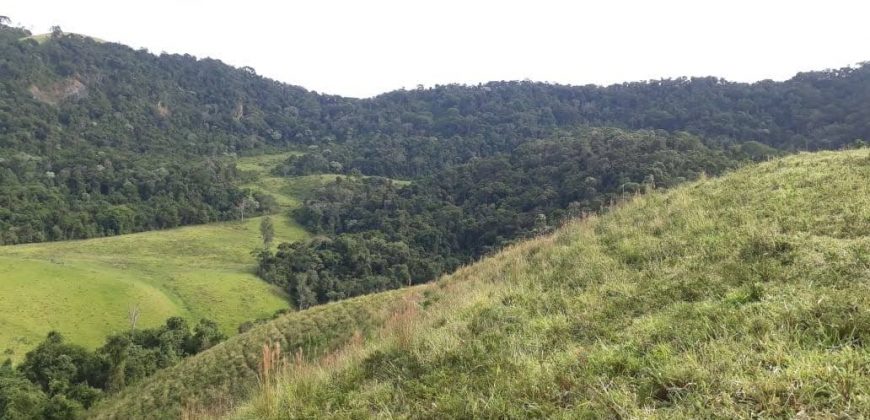 MAGNÍFICA FAZENDA COM 31 ALQUEIRES EM MARIA DA FÉ – MG