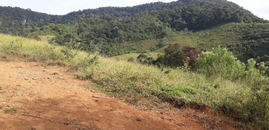 MAGNÍFICA FAZENDA COM 31 ALQUEIRES EM MARIA DA FÉ – MG