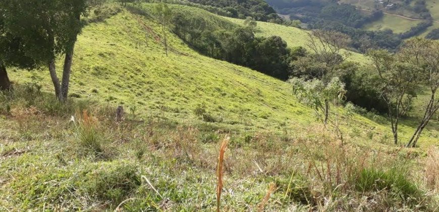 MAGNÍFICA FAZENDA COM 31 ALQUEIRES EM MARIA DA FÉ – MG