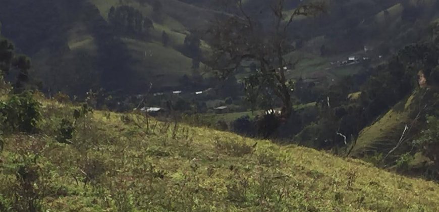 MARAVILHOSA FAZENDA DE 40 ALQUEIRES, EM DELFIM MOREIRA – MG