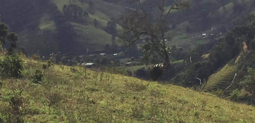 MARAVILHOSA FAZENDA DE 40 ALQUEIRES, EM DELFIM MOREIRA – MG