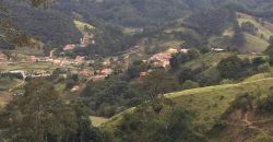 MARAVILHOSA FAZENDA DE 40 ALQUEIRES, EM DELFIM MOREIRA – MG