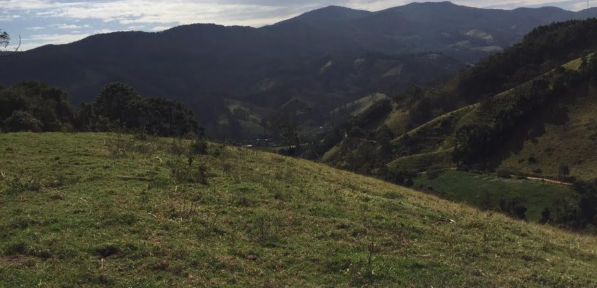 MARAVILHOSA FAZENDA DE 40 ALQUEIRES, EM DELFIM MOREIRA – MG