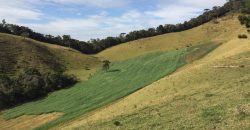 MARAVILHOSA FAZENDA DE 40 ALQUEIRES, EM DELFIM MOREIRA – MG