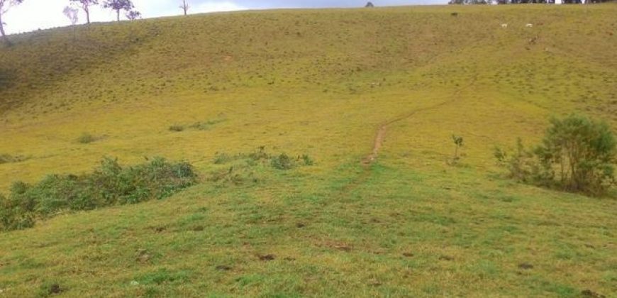 MARAVILHOSA FAZENDA DE 67 ALQUEIRES NO MUNICÍPIO DE DELFIM MOREIRA-MG