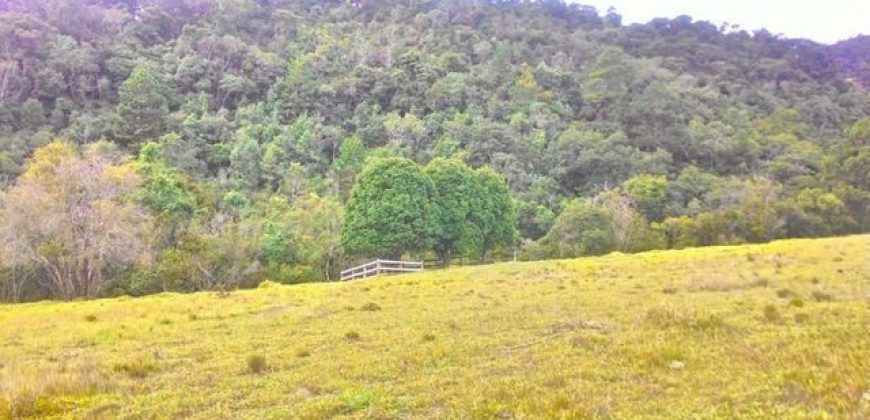 MARAVILHOSA FAZENDA DE 67 ALQUEIRES NO MUNICÍPIO DE DELFIM MOREIRA-MG