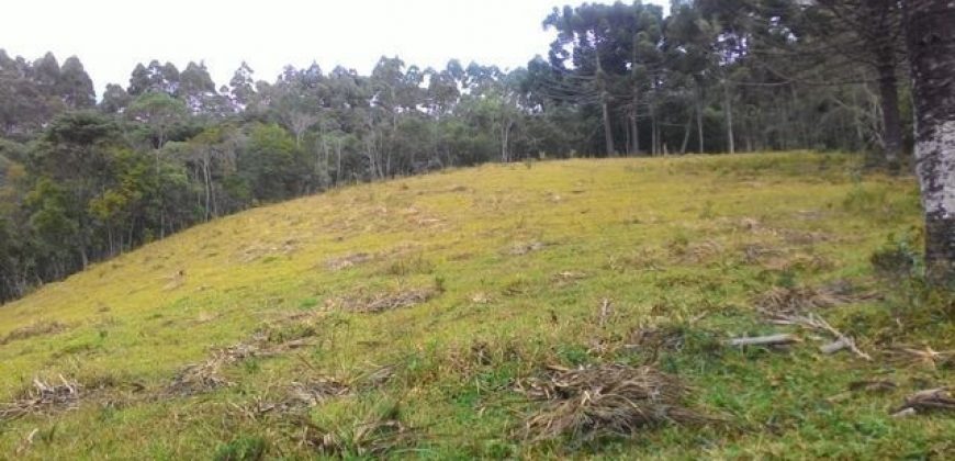 MARAVILHOSA FAZENDA DE 67 ALQUEIRES NO MUNICÍPIO DE DELFIM MOREIRA-MG