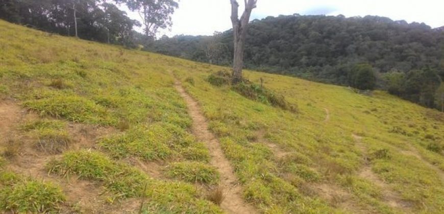 MARAVILHOSA FAZENDA DE 67 ALQUEIRES NO MUNICÍPIO DE DELFIM MOREIRA-MG