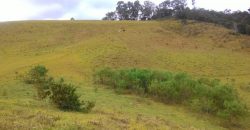 MARAVILHOSA FAZENDA DE 67 ALQUEIRES NO MUNICÍPIO DE DELFIM MOREIRA-MG