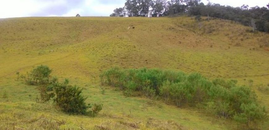 MARAVILHOSA FAZENDA DE 67 ALQUEIRES NO MUNICÍPIO DE DELFIM MOREIRA-MG