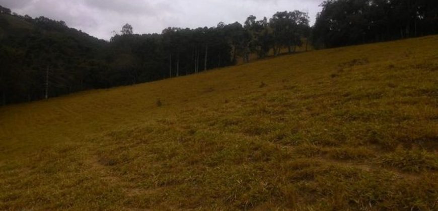 MARAVILHOSA FAZENDA DE 67 ALQUEIRES NO MUNICÍPIO DE DELFIM MOREIRA-MG