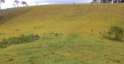 MARAVILHOSA FAZENDA DE 67 ALQUEIRES NO MUNICÍPIO DE DELFIM MOREIRA-MG