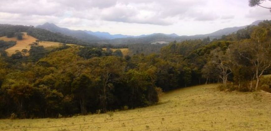 MARAVILHOSA FAZENDA DE 67 ALQUEIRES NO MUNICÍPIO DE DELFIM MOREIRA-MG