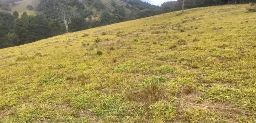 MARAVILHOSA FAZENDA DE 67 ALQUEIRES NO MUNICÍPIO DE DELFIM MOREIRA-MG