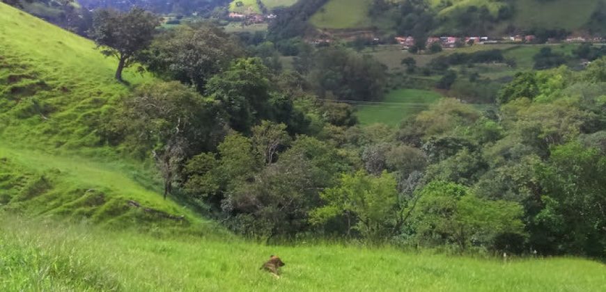 FANTÁSTICO SÍTIO DE 36.300 M², NO MUNICÍPIIO DE ITAJUBÁ-MG  