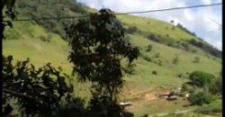 MARAVILHOSO SÍTIO COM 8,17 HECTARES, NO BAIRRO BIGUÁ, MUNICÍPIO DE DELFIM MOREIRA/MG