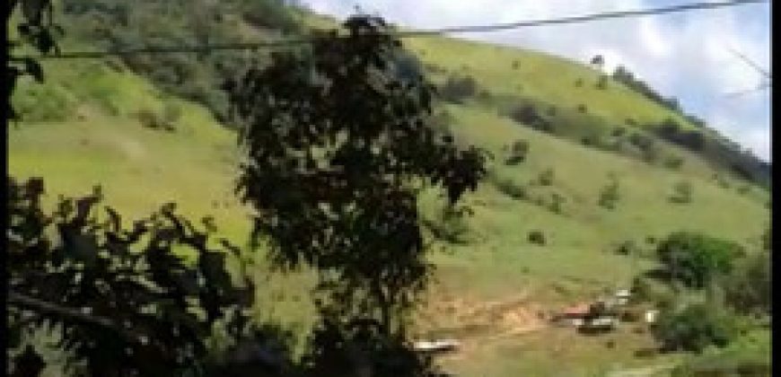 MARAVILHOSO SÍTIO COM 8,17 HECTARES, NO BAIRRO BIGUÁ, MUNICÍPIO DE DELFIM MOREIRA/MG