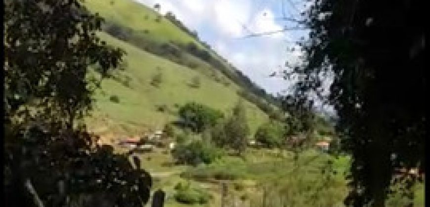 MARAVILHOSO SÍTIO COM 8,17 HECTARES, NO BAIRRO BIGUÁ, MUNICÍPIO DE DELFIM MOREIRA/MG